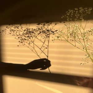 Meet your Posher, Farah